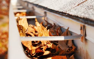 Moston Green gutter cleaning companies